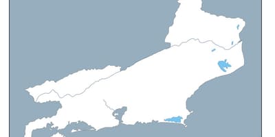 Зураг Рио-де-Жанейро вектор